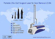 Машина удаления шрама кожи лазера портативного СО2 10600nm хирургическая для любимцев
