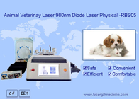 Функция животной машины лазера диода 980nm пользы портативной белая многофункциональная