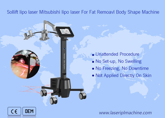 красота машины 6d Lipolaser Zerona 220v портативная Cryolipolysis