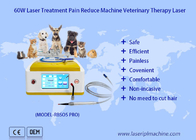 терапия лазера диода 980nm ветеринарная для лечения любимцев обветренного