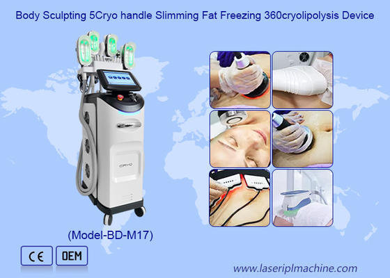 Профессиональное Cryolipolysis уменьшая оборудование красотки потери веса машины