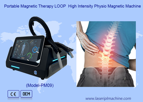 Pmst Loop Pemf Therapy Machine для людей, для облегчения боли, для животных, для здравоохранения