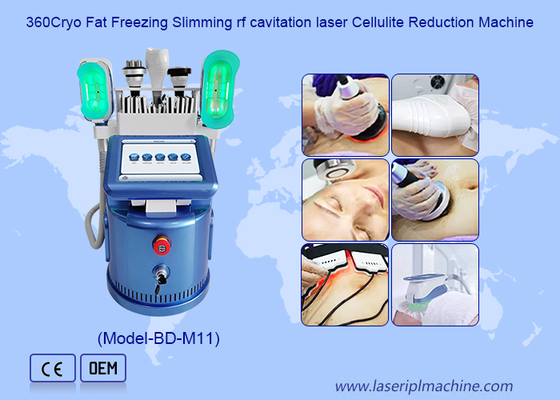 Эффективные 650nm Cryolipolysis уменьшая машину для формировать тела/кожа затягивают