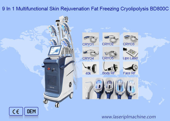 лазер Cryo RF Lipo кавитации 40K уменьшая машину