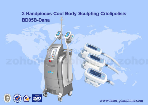 Хорошая цена Вакуумируйте Cryolipolysis/машину уменьшения мембраны холодного тела ваяя/целлюлита Criolipolisis онлайн