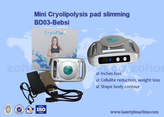 Хорошая цена Уменьшение 220v/110v машины Cryolipolysis домашней пользы мини онлайн