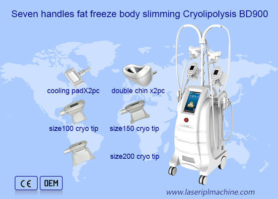 Хорошая цена Жирная замерзая двойная машина Cryolipolysis удаления Китая онлайн