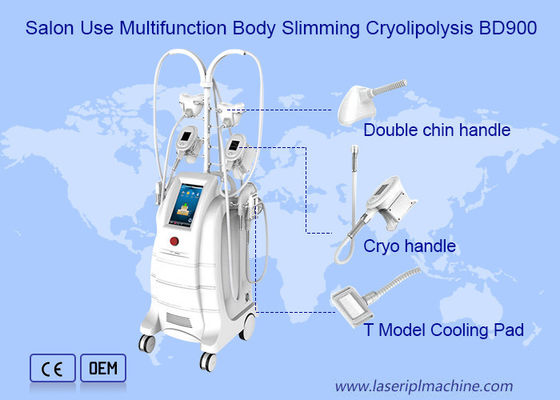 Хорошая цена Потеря веса 800VA салона Cryolipolysis уменьшая машину онлайн