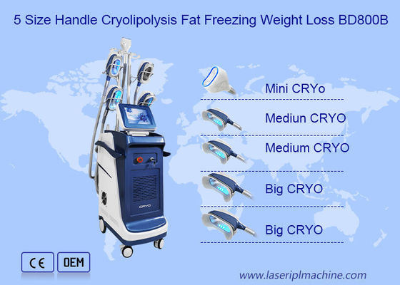 Хорошая цена 360 угол вертикальный двойной Chin Cryolipolysis уменьшая машину онлайн
